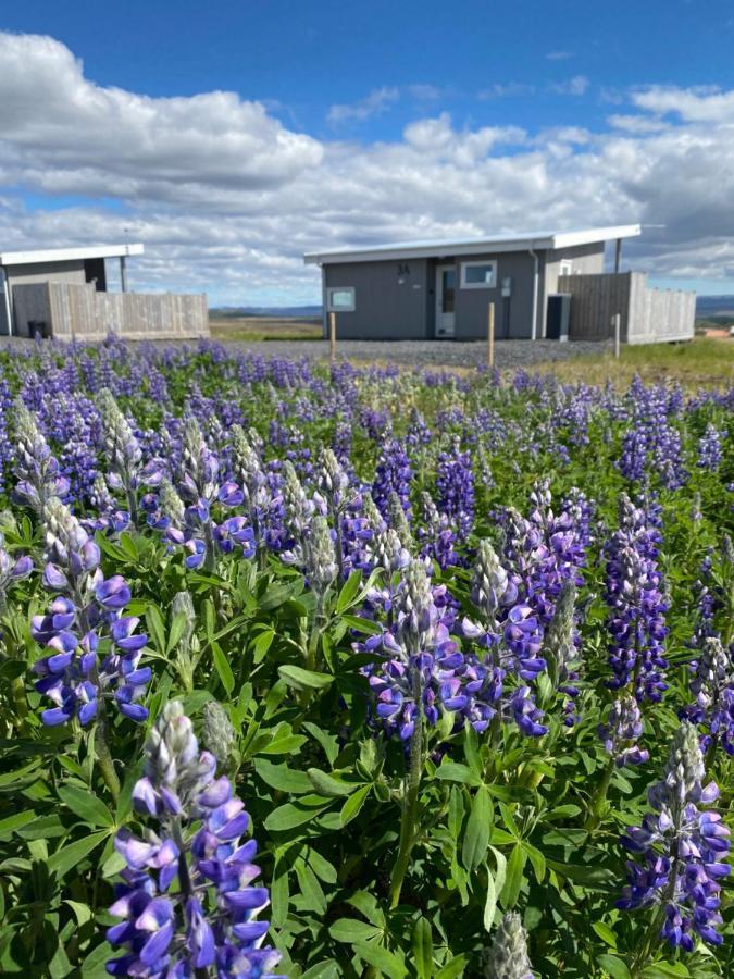 Blue View Cabin 3A With Private Hot Tub Reykholt  Dış mekan fotoğraf